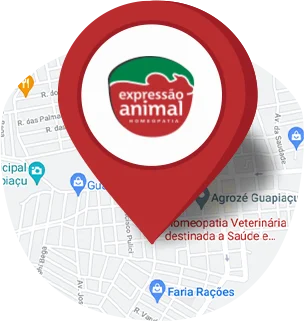 Mapa com a localização da Expressão Animal