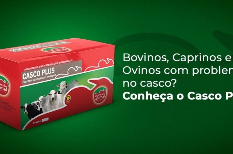 Fatores que causam  <br><strong> Problemas de Casco?</strong>