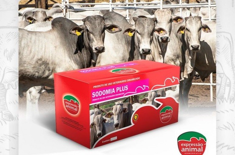 Medicamento <br><strong> para Sodomia Bovina</strong>