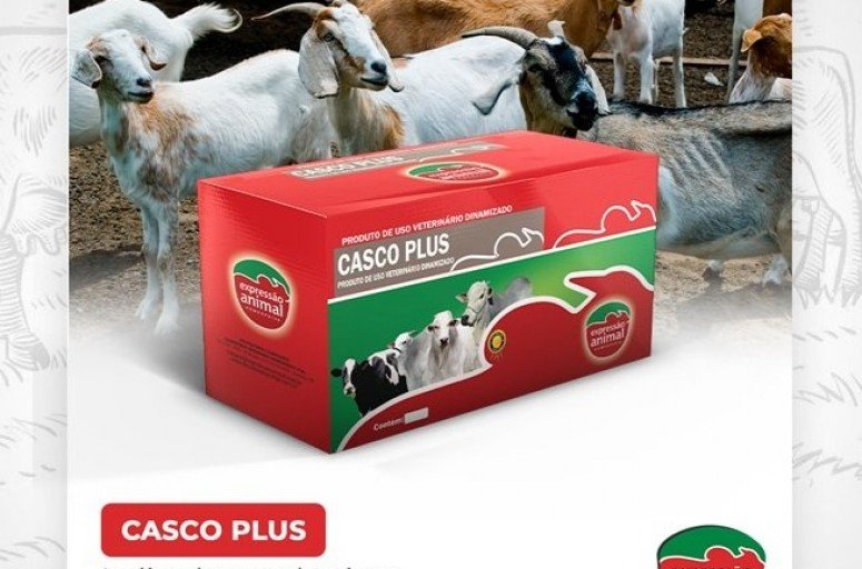 Medicamentos para <br><strong> Problemas de Casco</strong>