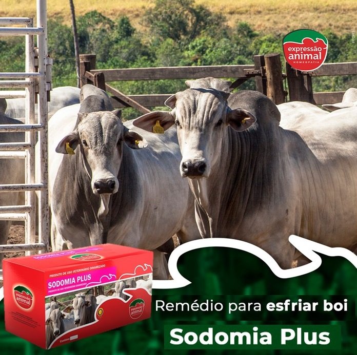 Sodomia Plus (Antigo Sodomia H): um jeito simples de eliminar a Sodomia Bovina