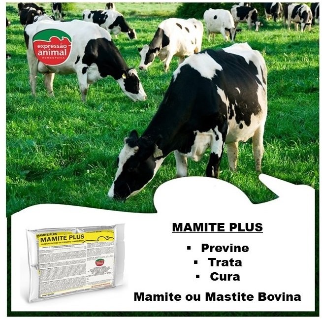 HOMEOPATIA NO TRATAMENTO E CURA DE MAMITE ou MASTITE BOVINA