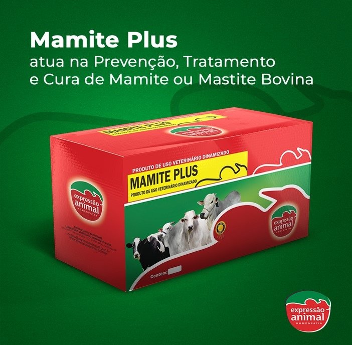 Mamite ou Mastite Bovina e Homeopatia como Prevenção e Cura.