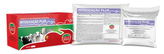 Intoxicação por Cafezinho em Bovinos