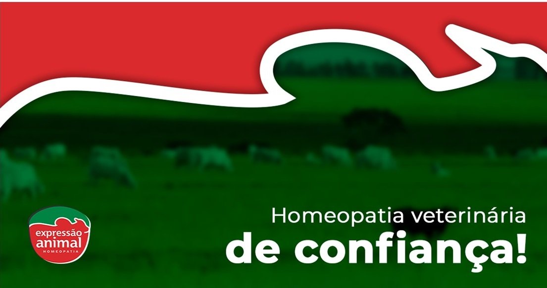 Homeopatia Veterinária: tecnologia e excelentes resultados