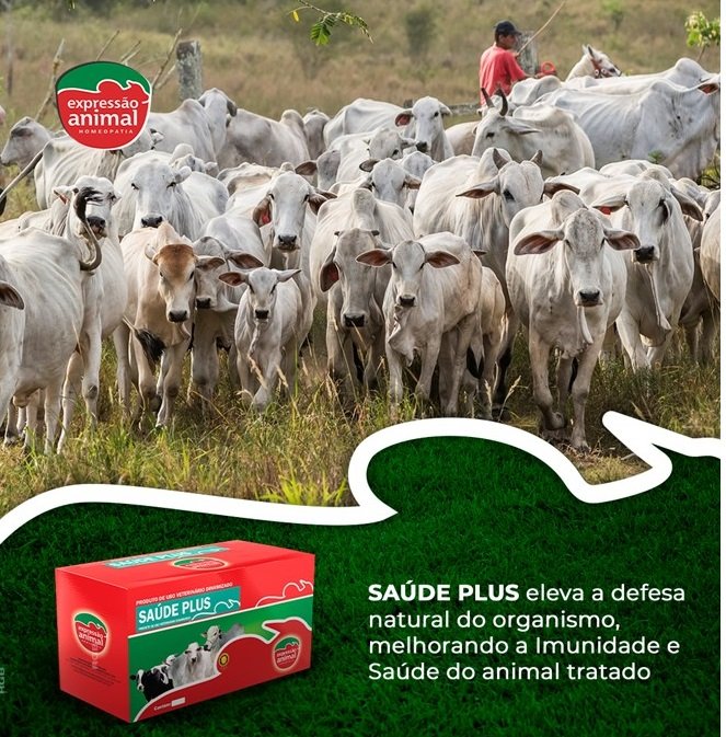 Estresse e Produção Animal Saiba como Evitar!