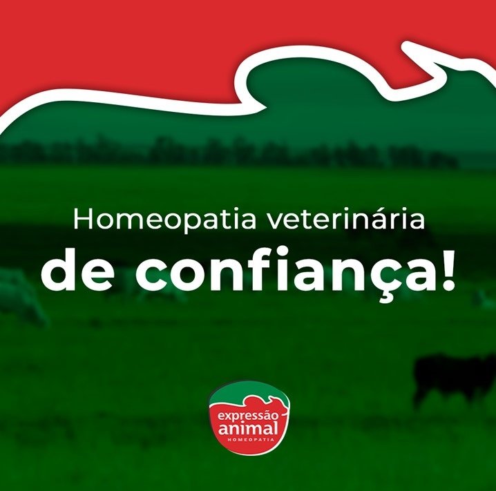 HOMEOPATIA VETERINÁRIA: Como funciona?