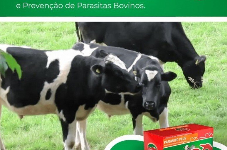 CARRAPATO-DO-BOI: CONTROLE NA PECUÁRIA LEITEIRA