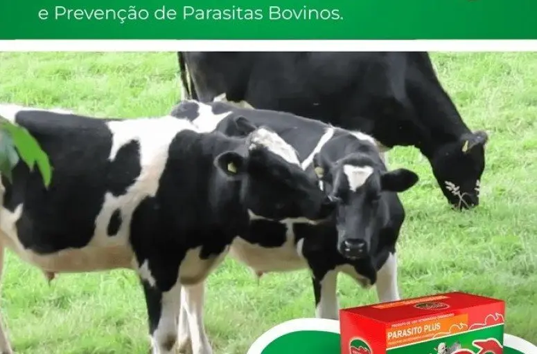 CARRAPATO-DO-BOI: CONTROLE NA PECUÁRIA LEITEIRA