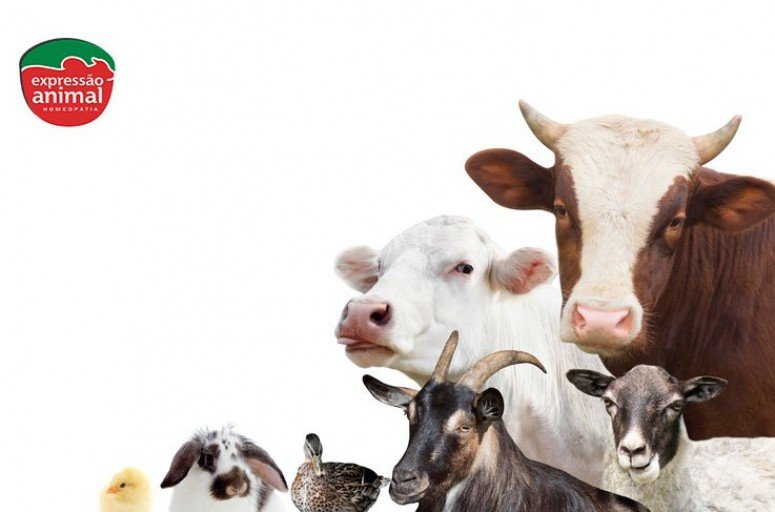 Quais as vantagens do uso de medicamentos homeopáticos para bovinos? 