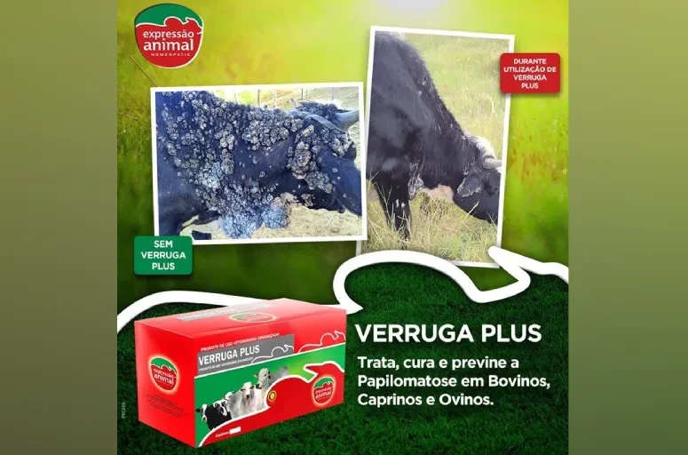 Riscos da papilomatose bovina e como tratar