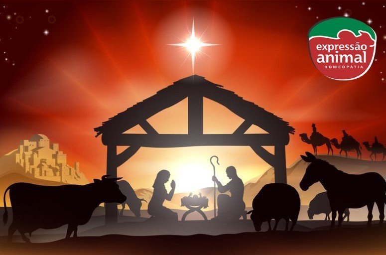 Feliz Natal - Expressão Animal