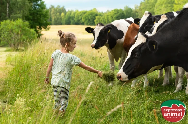 Principais problemas na pecuária solucionados com homeopatia veterinária