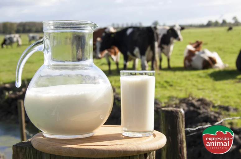 Quais as vantagens dos tratamentos homeopáticos para mastite em vacas leiteiras