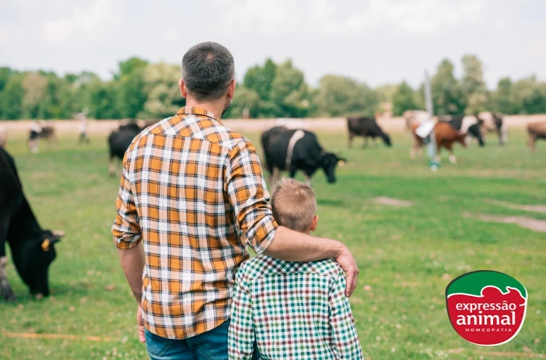 Principais problemas na pecuária que podem ser resolvidos com homeopatia