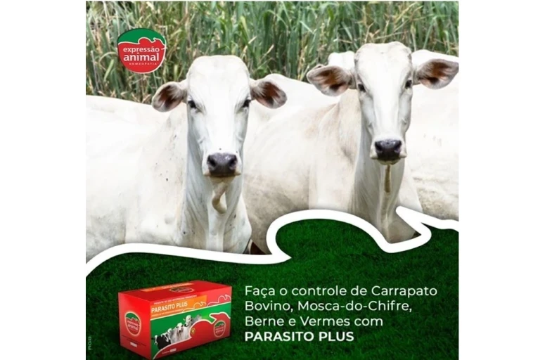 ✔ Parasito Plus: um medicamento completo no combate aos Parasitas