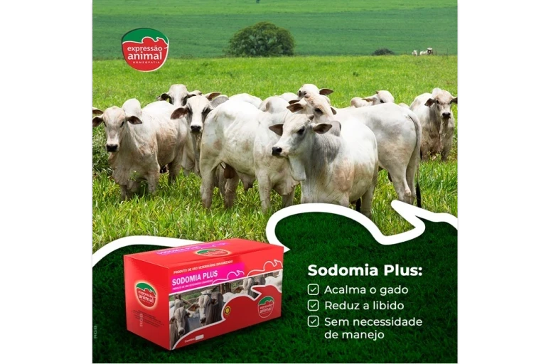 ✔  Sodomia Bovina: porque controlar? 