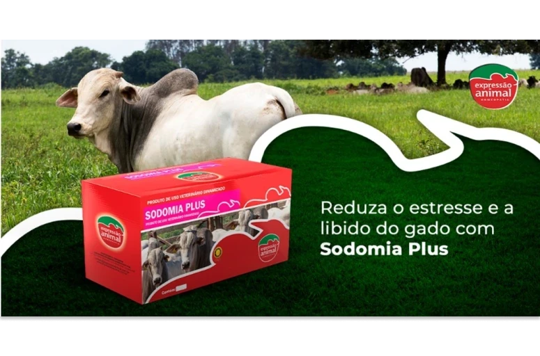 ✔  Homeopatia: uma alternativa no Controle da Sodomia Bovina