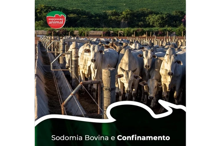 ✔  Sodomia Bovina e o impacto no Bem-Estar Animal