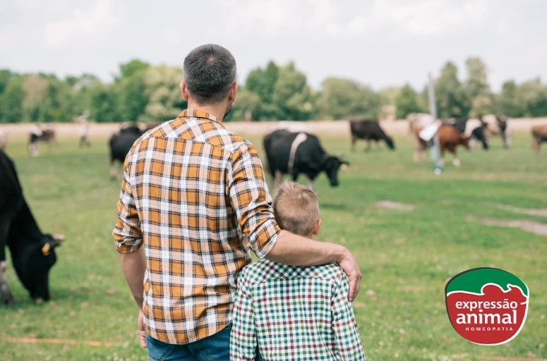 Homeopatia previne e trata as doenças da pecuária moderna: veja as principais