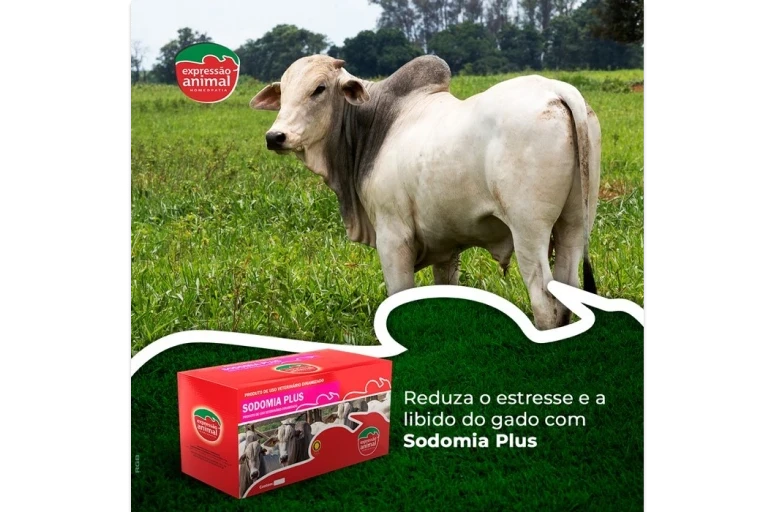 ✔  Sodomia Bovina e seus prejuízos na Produção Animal.