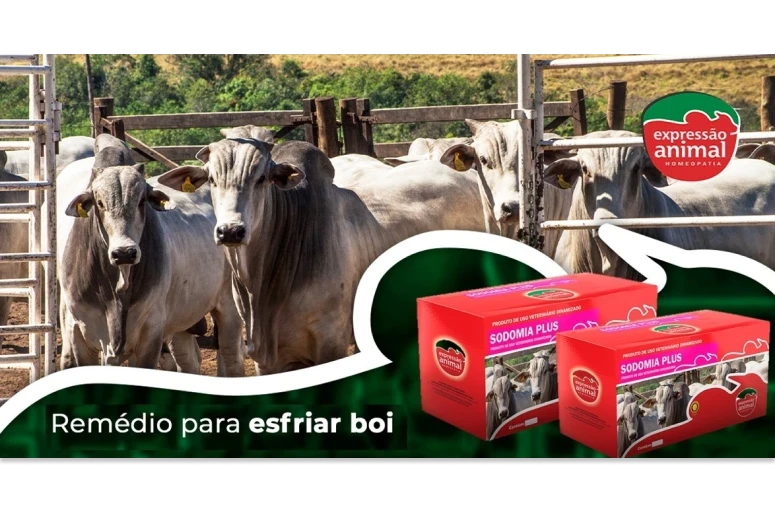 ✔  Como reduzir a Sodomia Bovina?