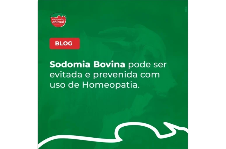 Sodomia Bovina e Bem-Estar Animal: O Papel do Produtor Rural