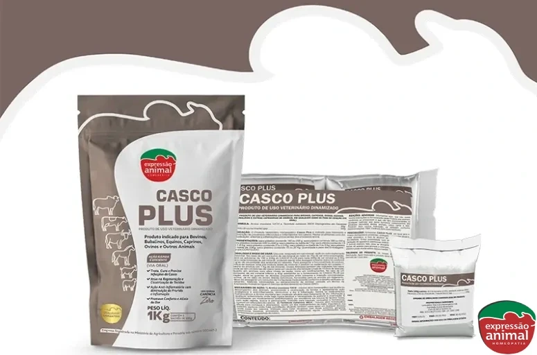 Dermatite digital em bovinos: causas e tratamento