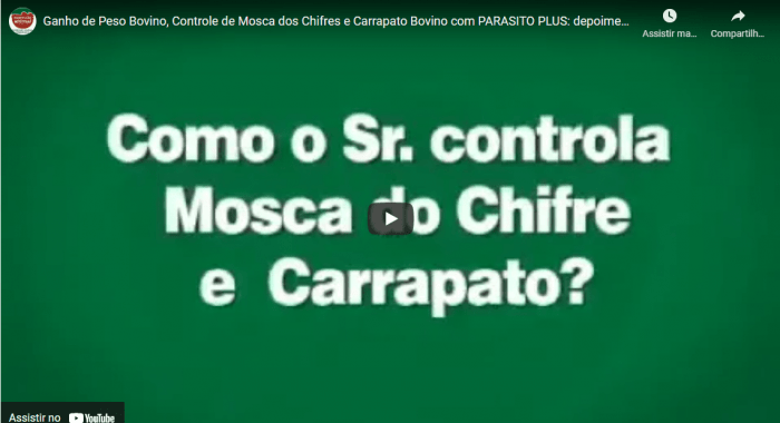 GANHO DE PESO BOVINO, Controle de MOSCA-DOS-CHIFRES e CARRAPATO BOVINO com PARASITO PLUS. Além disto, cliente fala sobre Melhora no Escore Corporal e Aumento de Fertilidade e Produtividade Bovina