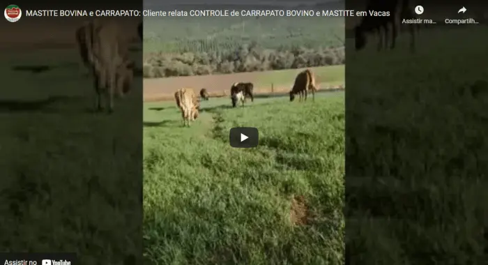 MASTITE BOVINA e CARRAPATO BOVINO