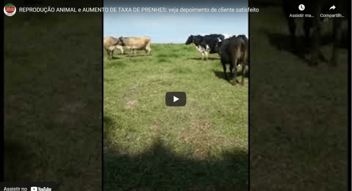  Aumento de TAXA DE PRENHES (REPRODUÇÃO ANIMAL), com o uso de FÉRTIL PLUS e SAÚDE PLUS, produtos da EXPRESSÃO ANIMAL