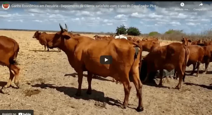 Vantagens do uso de Equalizador Plus