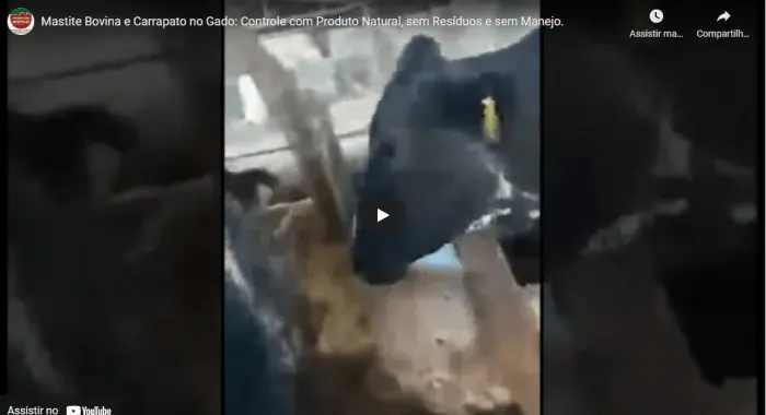 MASTITE (MAMITE BOVINA) e CONTROLE DE CARRAPATO NO GADO