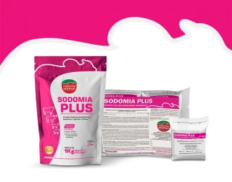 SODOMIA PLUS