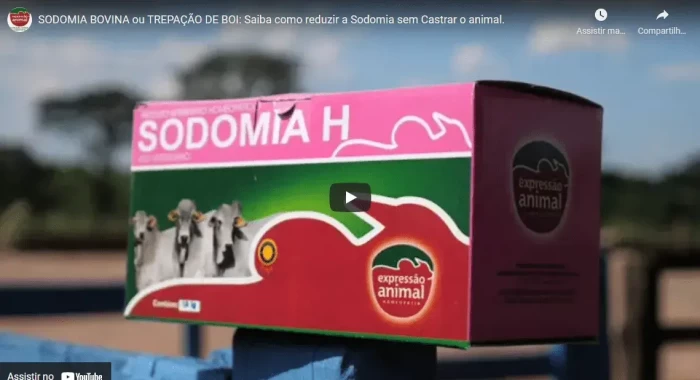 Redução no comportamento da SODOMIA BOVINA  com o uso do Sodomia Plus