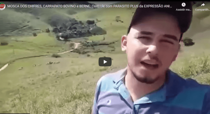 Controle de MOSCA-DOS-CHIFRES, CARRAPATO BOVINO, BERNE e VERMES BOVINOS
