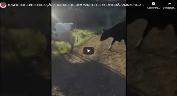Controle de MAMITE SUB-CLINICA e REDUÇÃO DE CCS (CÉLULAS SOMÁTICAS NO LEITE)
