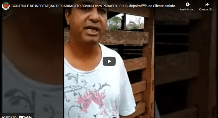 Controle de INFESTAÇÃO DE CARRAPATO BOVINO com PARASITO PLUS
