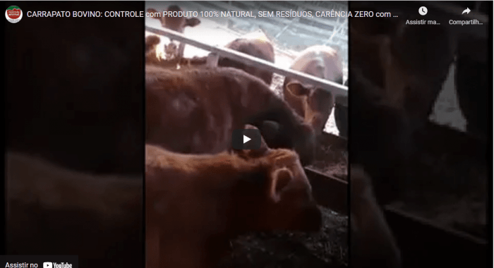 Controlou CARRAPATO BOVINO
