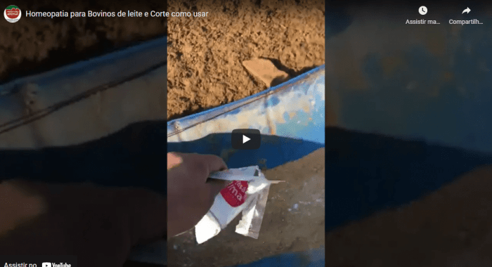 Homeopatia para Bovinos de leite e Corte