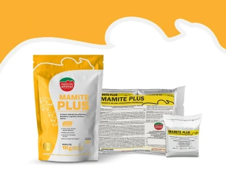 MAMITE PLUS