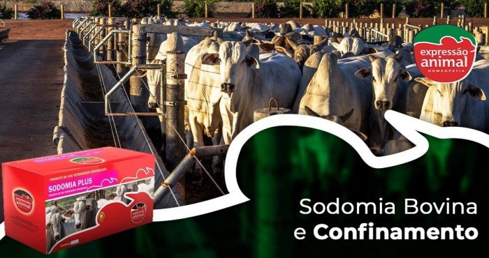 Sodomia em Confinamentos ou Semi Confinamentos