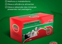 Cria na Pecuária: saiba como garantir uma Criação Sustentável de Gado