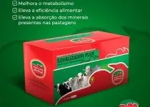 Estresse Térmico em Vacada
