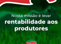 Sal Mineral e a Mineralização Ideal para seu Rebanho.