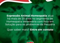 Confinamento: Como Elevar a Eficiência de Ganho de Peso