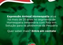 Confinamento: Como Elevar a Eficiência de Ganho de Peso