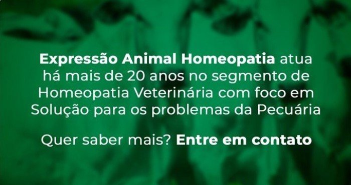 Confinamento: Como Elevar a Eficiência de Ganho de Peso