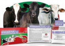 Intoxicações Bovinas: 3 principais motivos de Intoxicação Bovina por Plantas