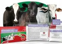 Intoxicações Bovinas: 3 principais motivos de Intoxicação Bovina por Plantas